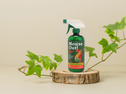 Rodent-Free Living: 5 Simple Steps to Keep Mice & Rats Out